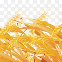 黄草-空若网 黄草-空若网