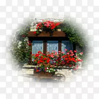 花卉设计桌面壁纸电脑开花植物.设计-空若网 花卉设计桌面壁纸电脑开花植物.设计-空若网