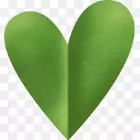 ��ɫ-������