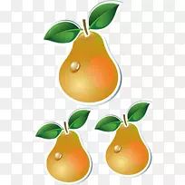 ƻ����ȼ�����-������-������