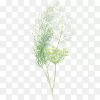 Ӣ��޹�²�-������