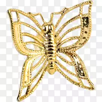 �������Ż���������������-������