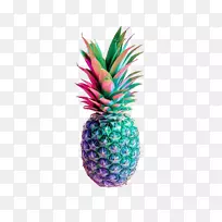 ���ܳɷ�ˮ�������ֽʳƷ����-������