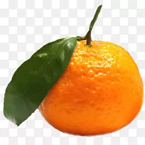 ������͡ˮ�������ӣ�ʳƷ�����ӣ�������-������