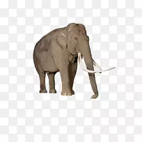 Ӧ�ó��򣬹�����ѧϰ�����׿-����-������