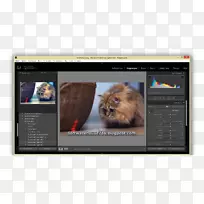 猫多媒体视频截屏-猫-空若网 猫多媒体视频截屏-猫-空若网