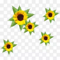 普通向日葵桌面壁纸动画剪贴画动画-空若网 普通向日葵桌面壁纸动画剪贴画动画-空若网