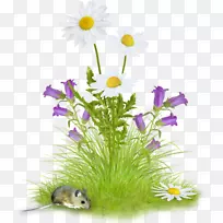 插花艺术-空若网 插花艺术-空若网