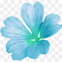 ܽ�ػ��격��-������