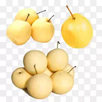 Ñ©Àæ(Pyrus Nivalis Pyrus Xd 7 Bretschneideri)¹ûÆ·-¹ÚÀæ-¿ÕÈôÍø Ñ©Àæ(Pyrus Nivalis Pyrus Xd 7 Bretschneideri)¹ûÆ·-¹ÚÀæ-¿ÕÈôÍø