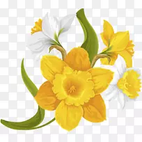 ˮ�ɻ�����л��ƻ�-������