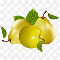 ��ƻ����Ѽ�����-��-������