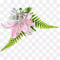 切花网浏览器花瓣-花-空若网 切花网浏览器花瓣-花-空若网