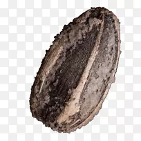 ÏòÈÕ¿û×Ѻù«ÆÕͨÏòÈÕ¿û¼á¹ûʳƷ-¿ÕÈôÍø ÏòÈÕ¿û×Ѻù«ÆÕͨÏòÈÕ¿û¼á¹ûʳƷ-¿ÕÈôÍø