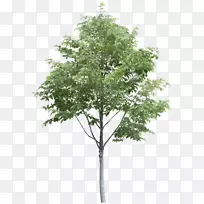 ��-��-������