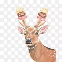 ¹ˮ�ʻ�-����¹-������