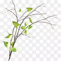 树枝剪贴画-空若网 树枝剪贴画-空若网