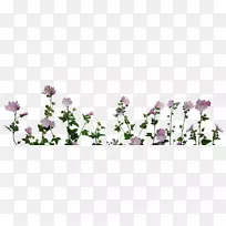 ֲ�ﻨ�ܻ�԰õ�壬���õ��-ֲ��-������