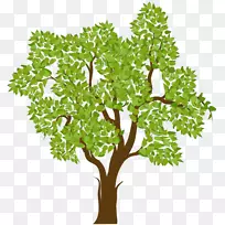 树-树-空若网 树-树-空若网