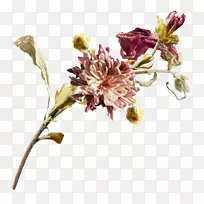 切花设计剪贴画-空若网 切花设计剪贴画-空若网