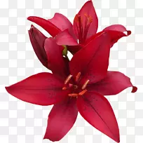 �ٺ��л��������-������