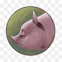 猪鼻-猪-空若网 猪鼻-猪-空若网