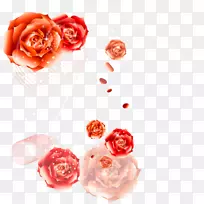 花园玫瑰祝你生日快乐花束生日-空若网 花园玫瑰祝你生日快乐花束生日-空若网