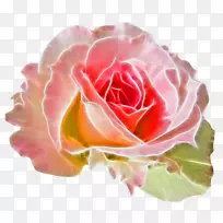 世界友爱日生日鲜花安西卡贺卡-生日-空若网 世界友爱日生日鲜花安西卡贺卡-生日-空若网