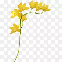 �ƻ����껨��-������