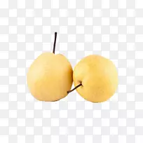 ������������xd 7-������