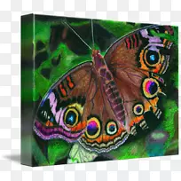 ����-�й���ĺ���-������