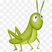 蝗虫剪贴画-蚱蜢-空若网 蝗虫剪贴画-蚱蜢-空若网