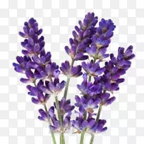 ޹�²��ͻ���ҩ��������Ӱ.��-������