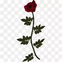 ��԰õ�廨-������