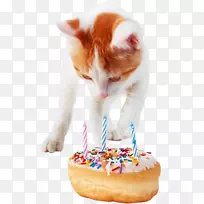 生日蛋糕猫须猫生日蛋糕-空若网 生日蛋糕猫须猫生日蛋糕-空若网
