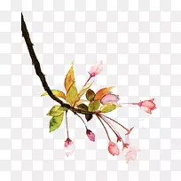 Ë®²Ê»Bilibili le.com°Ù¶ÈTieba-Ë®²Ê»»¨-¿ÕÈôÍø Ë®²Ê»Bilibili le.com°Ù¶ÈTieba-Ë®²Ê»»¨-¿ÕÈôÍø