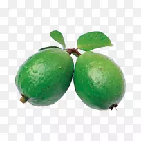 普通番石榴橙汁-空若网 普通番石榴橙汁-空若网