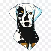 达尔马提亚犬种-空若网 达尔马提亚犬种-空若网