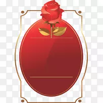 ��Ӱ������-������