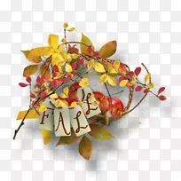 花瓣秋日博客-秋天-空若网 花瓣秋日博客-秋天-空若网