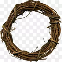 藤条-空若网 藤条-空若网