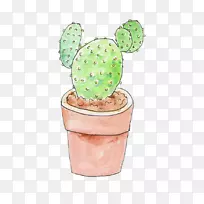 仙人掌科花盆水彩画剪贴画盆栽仙人掌-空若网 仙人掌科花盆水彩画剪贴画盆栽仙人掌-空若网