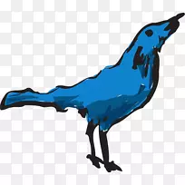 鸟嘴鸟羽毛翅膀剪贴画-鸟-空若网 鸟嘴鸟羽毛翅膀剪贴画-鸟-空若网