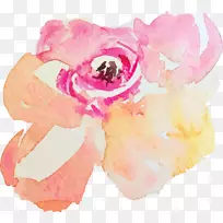 ˮ�ʻ�ˮ�ʻ�-������