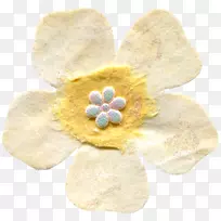 珠宝首饰材料-空若网 珠宝首饰材料-空若网