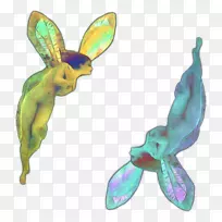 昆虫绿松石-空若网 昆虫绿松石-空若网