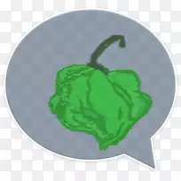 ��Ҷ-������