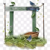 ����ľ������-������