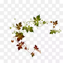 ������ҳ������-������