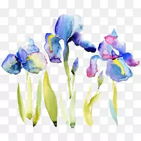 水彩画插图.水彩画花-空若网 水彩画插图.水彩画花-空若网